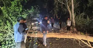 সন্ধ্যা নামলেই আতঙ্ক, নওগাঁর সড়কে বেড়েছে ডাকাতের দৌরাত্ম্য